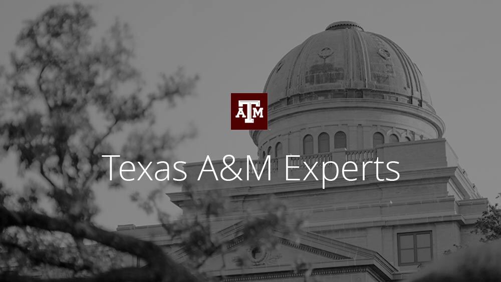 Texas A&M Experts logo over a grey duotone image of the academic building dome