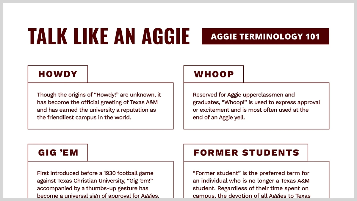 Close up of the use of emphasis boxes around pieces of text to group them and create hierarchy