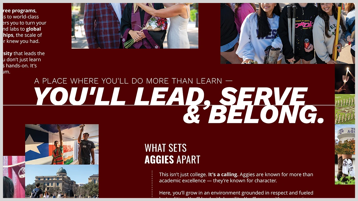 Closeup of a bold, italic and all caps headline divided by an extended line that runs horizontally between the two lines of bold text