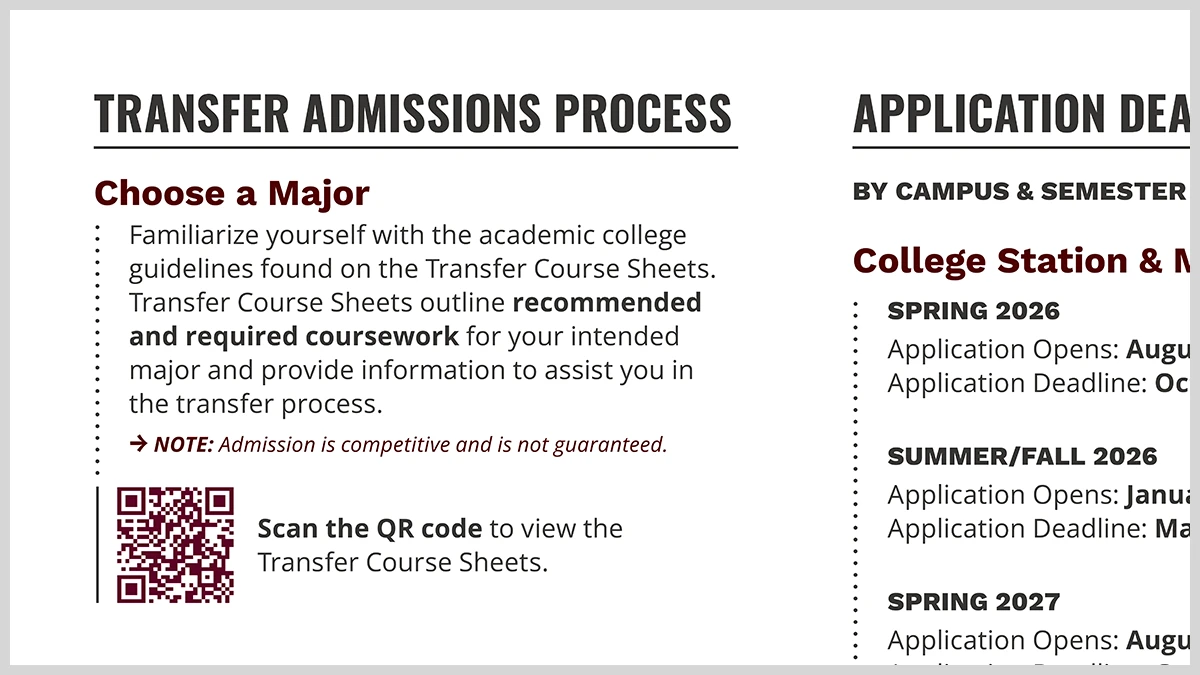 Close up of line work integrated as a left-side border alongside a column of content