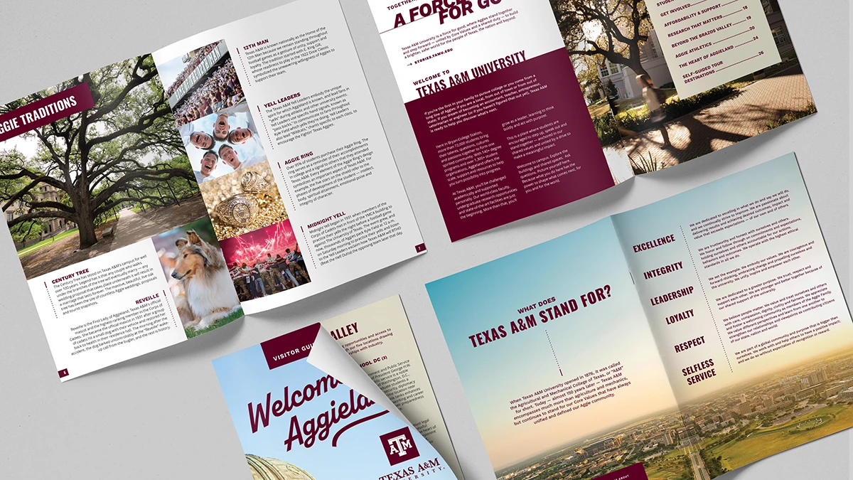 A collection of print ads using brand written and visual language